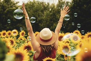 Woman Surrounded By Sunflowers